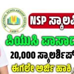 NSP scholarship 2025