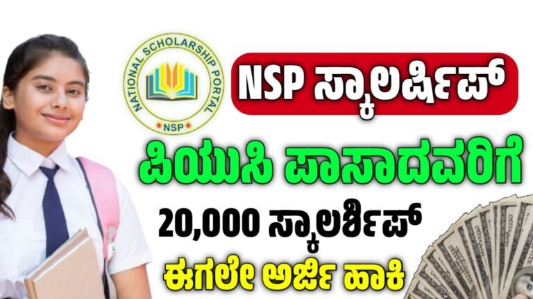 NSP scholarship 2025